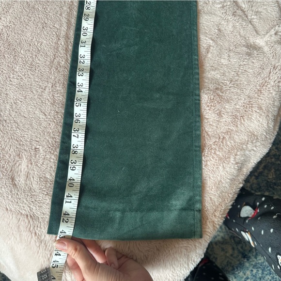 Babaton Atelier- Green Velvet Trousers - Picture 7 of 10